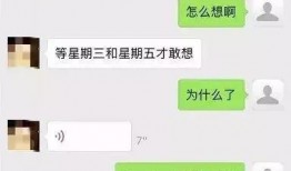爆料新加坡花场视频在线观看,一场视觉盛宴的在线直播